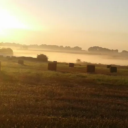 Fleur Du Soleil Agudelle