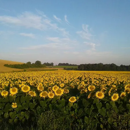 Ferienhaus Fleur Du Soleil