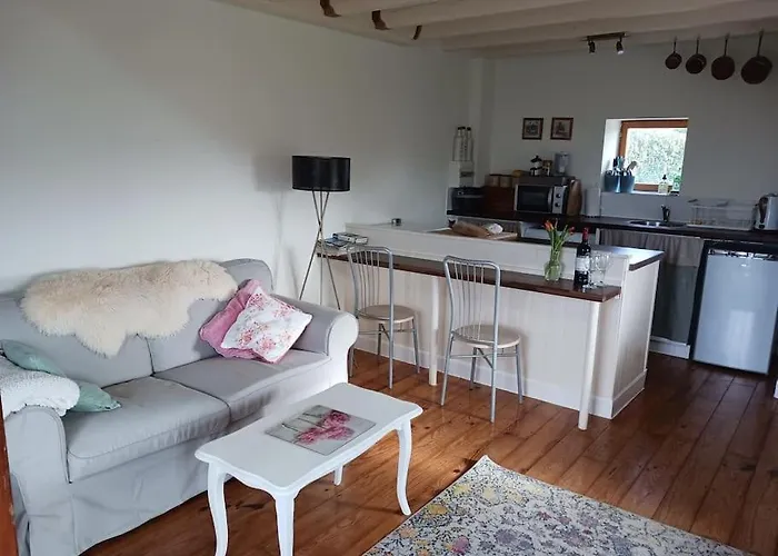 Fleur Du Soleil * Agudelle