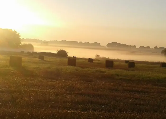 Fleur Du Soleil Agudelle